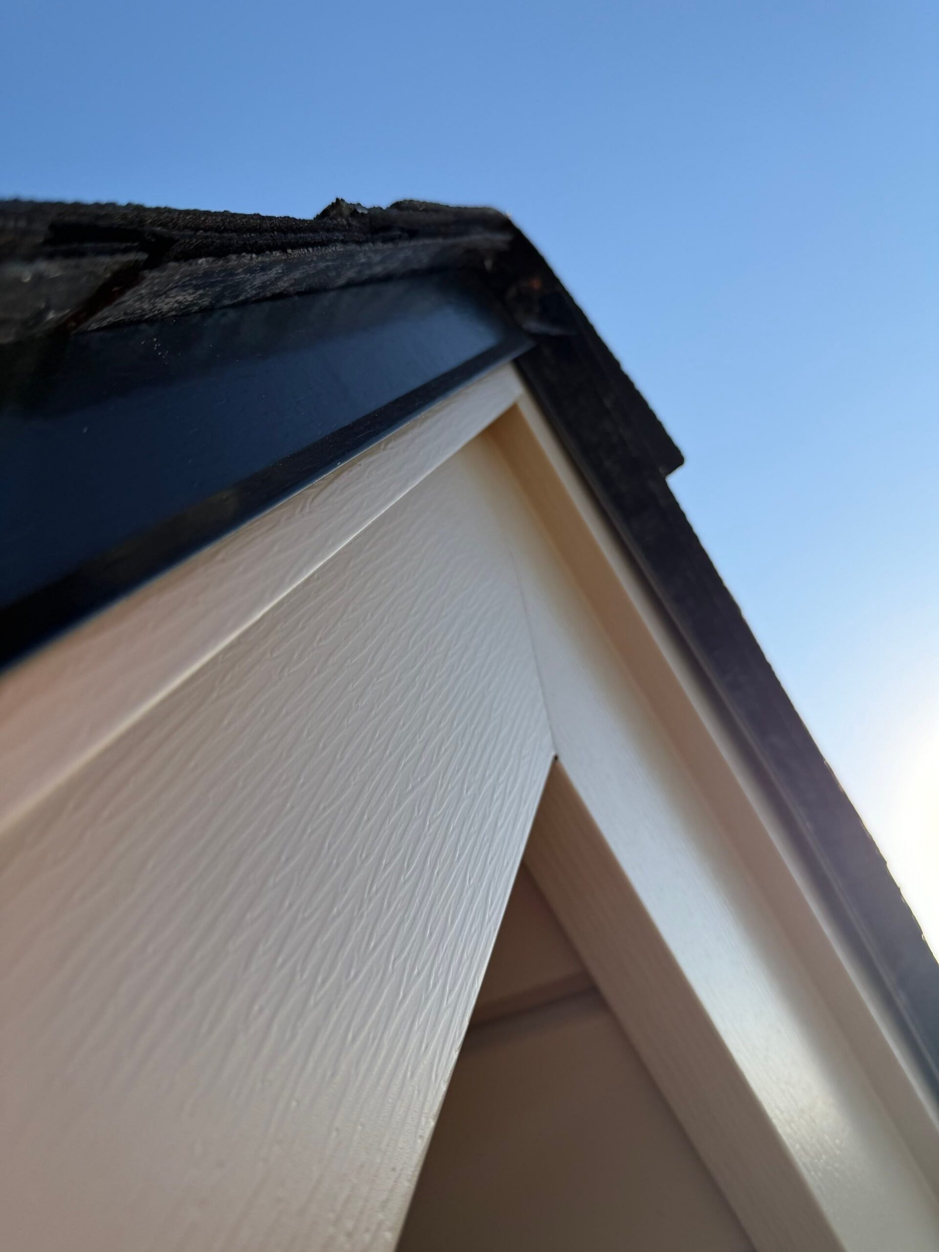 Siding and Painting